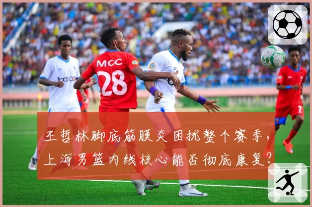 王哲林脚底筋膜炎困扰整个赛季,上海男篮内线核心能否彻底康复?
